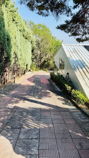 Jardín